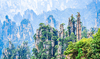 驴妹妹旅行照片