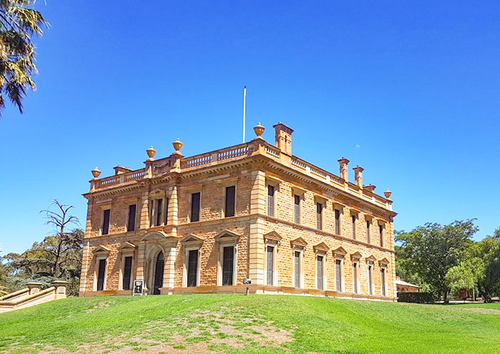 mintaro1