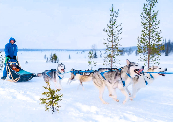 the-husky-base1