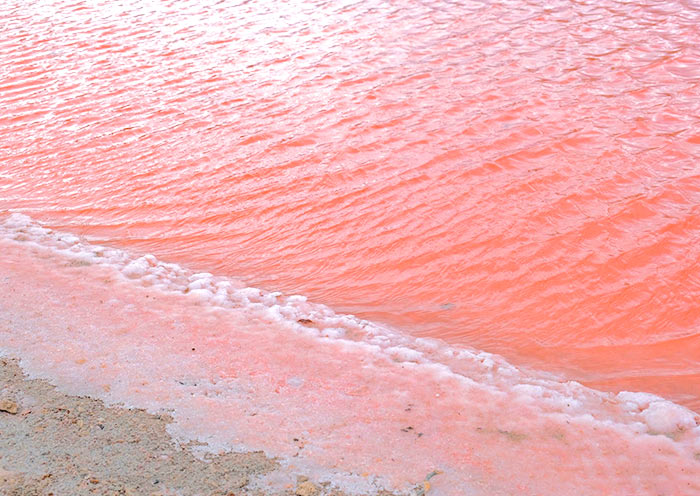 hutt-lagoon2