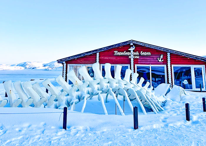 whale-skeleton1