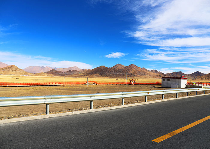 sangsang-grassland2