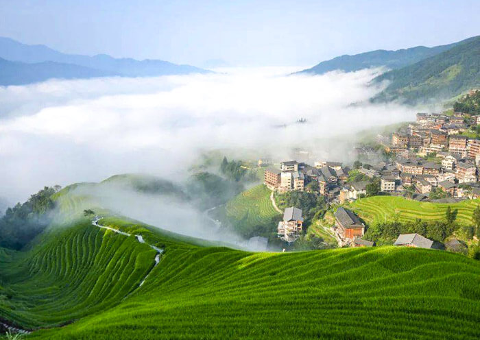 longji-rice-terrace10