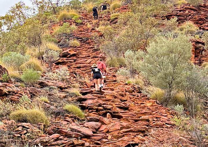 kings-canyon1