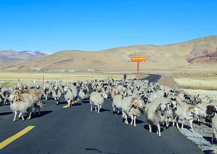 darchen-saga-road-scenery2